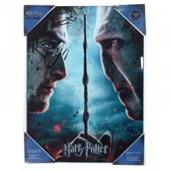 Harry Potter - Poster com...