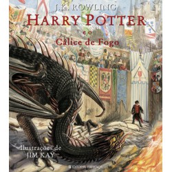 Livro Harry Potter -Harry...