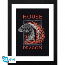 HOUSE OF THE DRAGON- Poster...