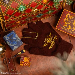 Calendário do Advento -  Harry Potter - Quidditch Deluxe Advent Calendar 2025