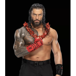 Playmobil WWE - Roman Reigns 71960