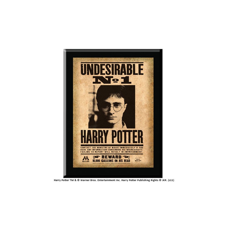 Harry Potter :  Undesirable No. 1 Sign Poster