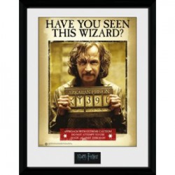 GBeye Collector Print - Harry Potter Sirius Azkaban 30x40cm